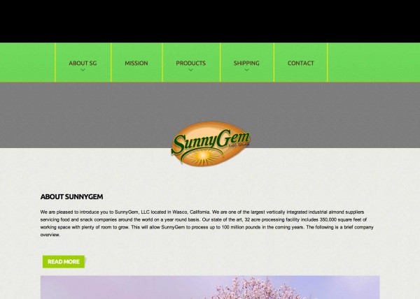 SunnyGem - Simply Almonds website